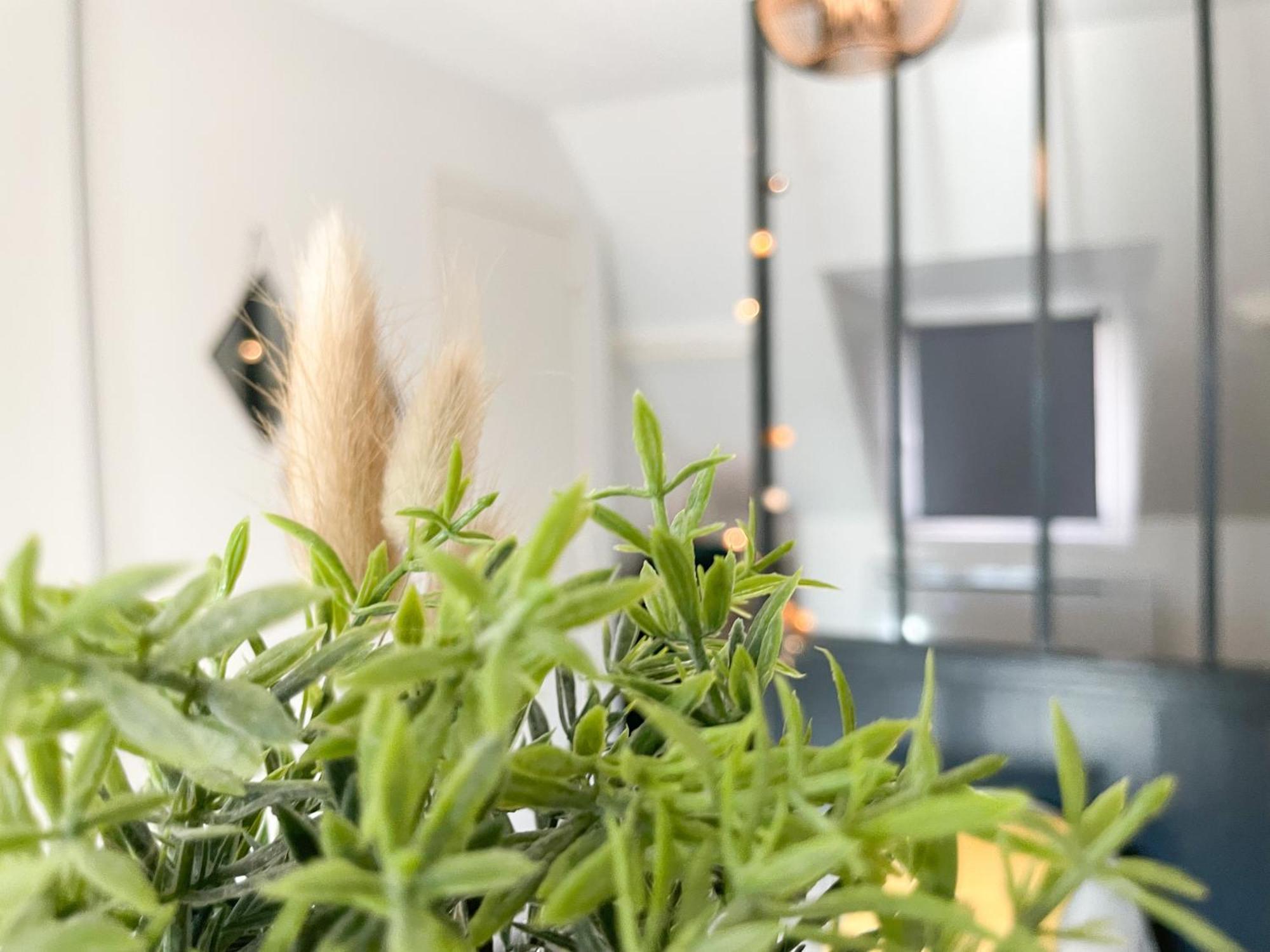 Le 12 Bis - Cosy Apartment Cherbourg-en-Cotentin Exterior photo